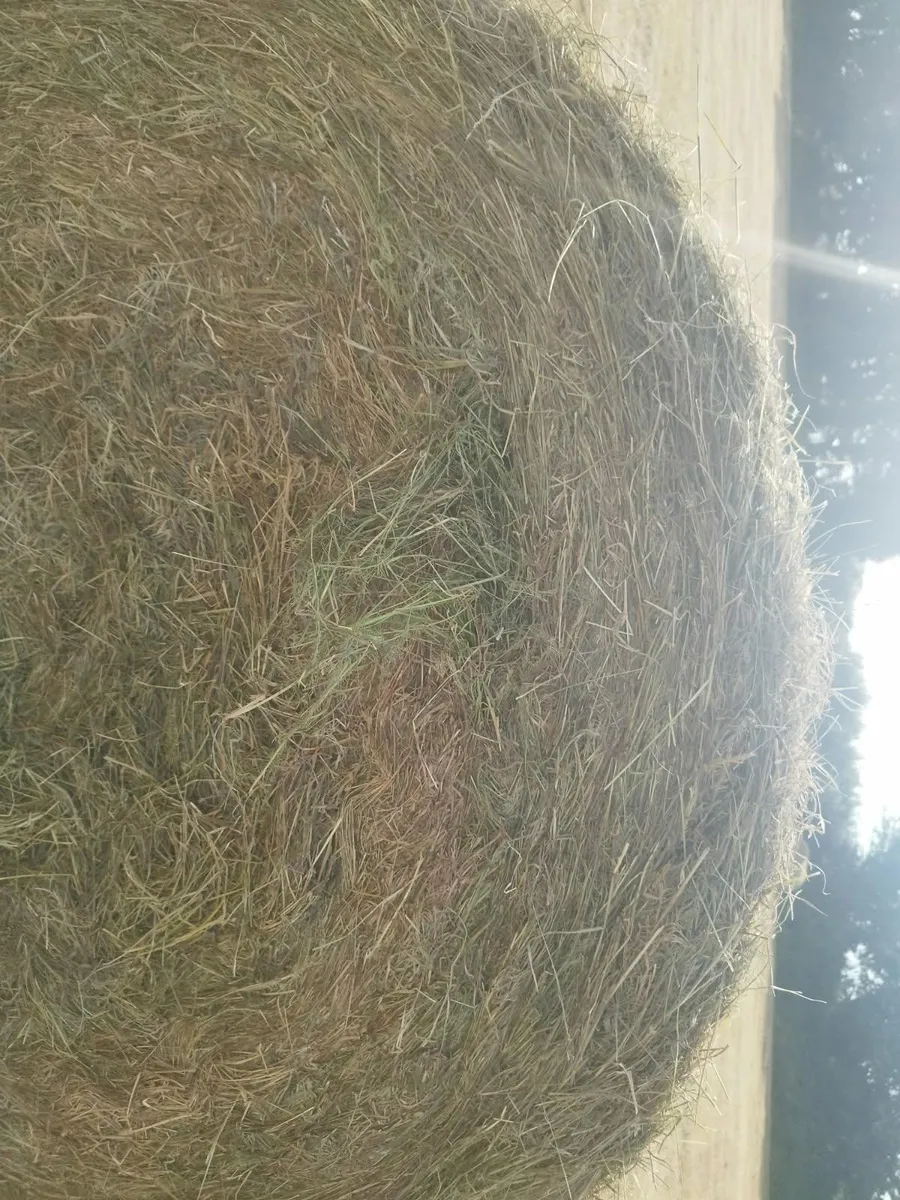 Organic Hayliage first cut - Image 1