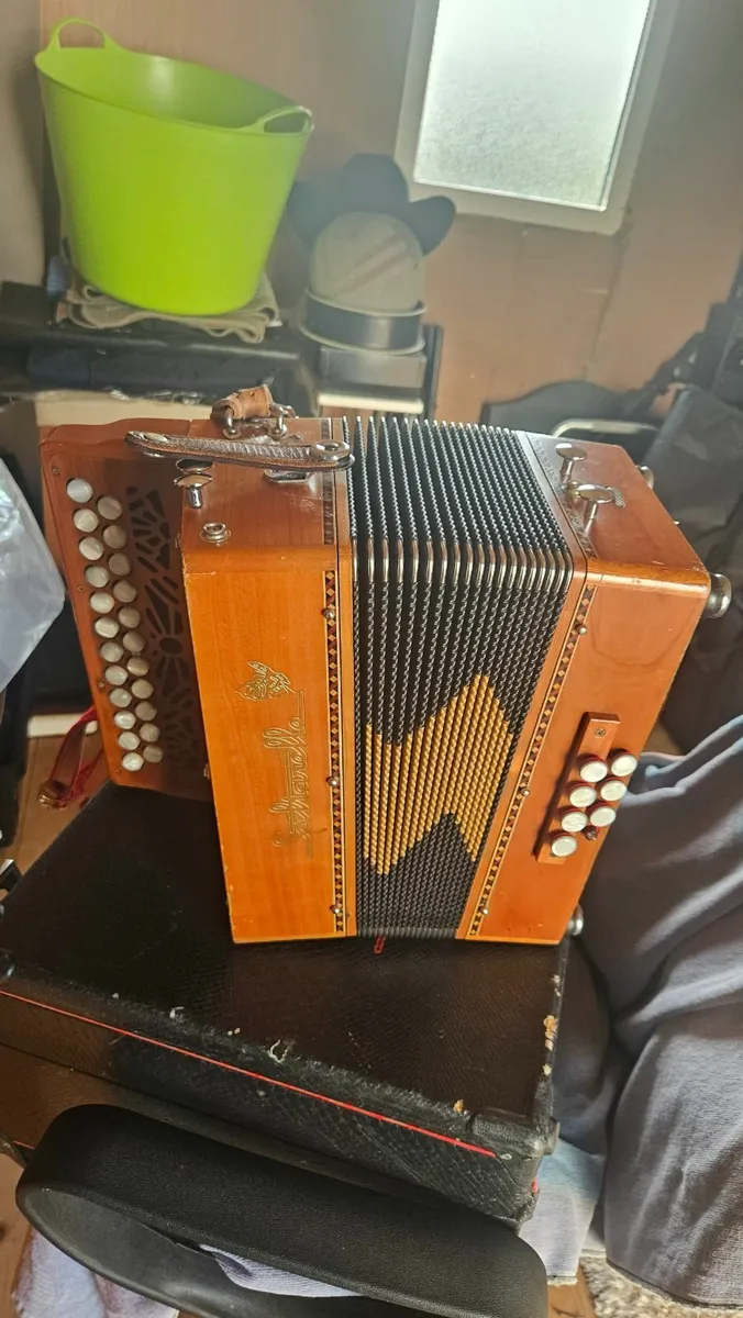 Saulterelle accordion - Image 1