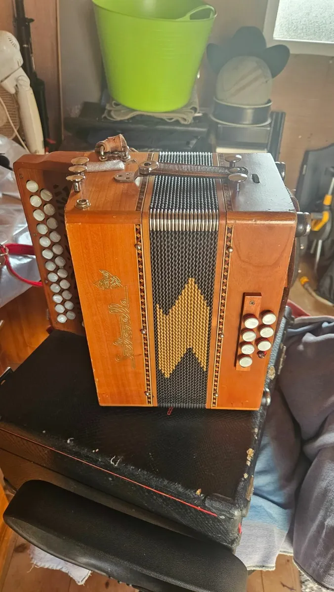 Saulterelle accordion - Image 2
