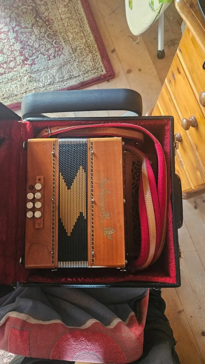 Saulterelle accordion - Image 3