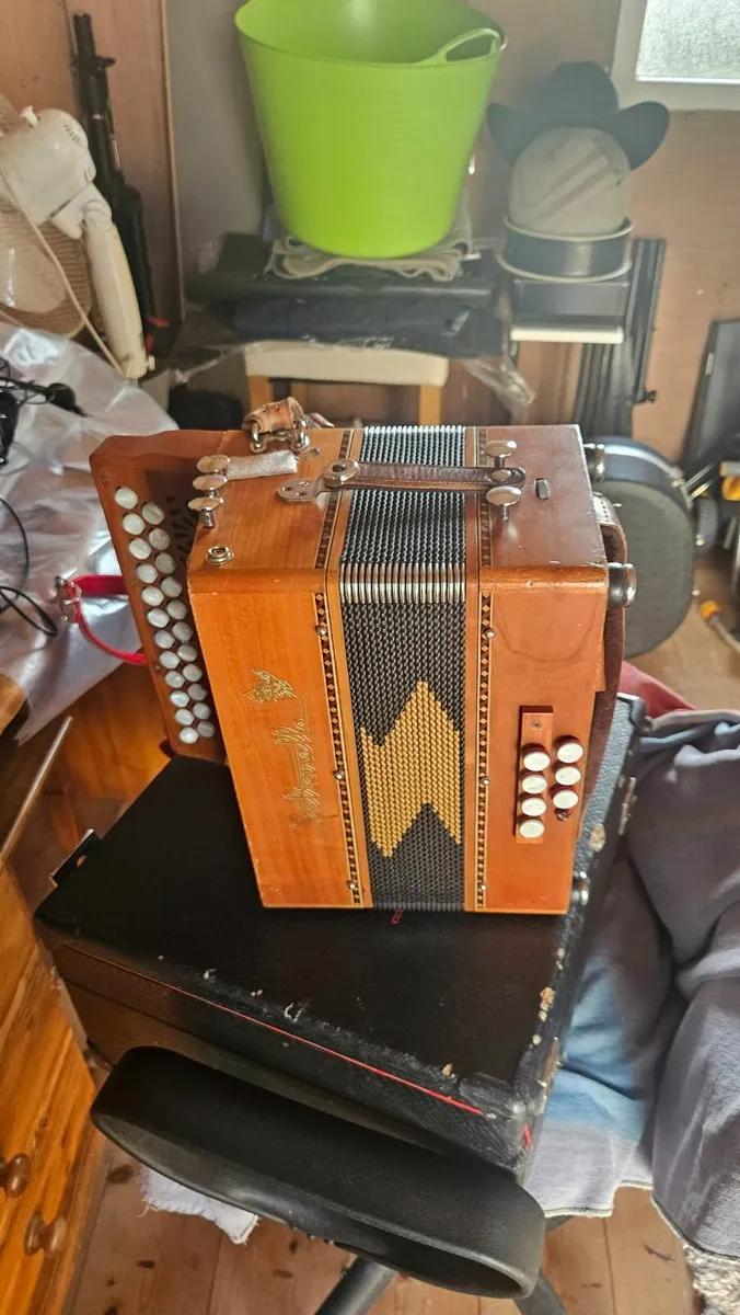 Saulterelle accordion - Image 4