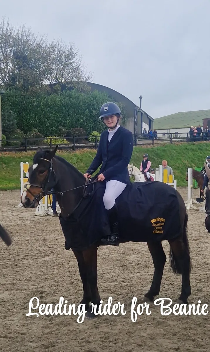 138 Pony - Image 1