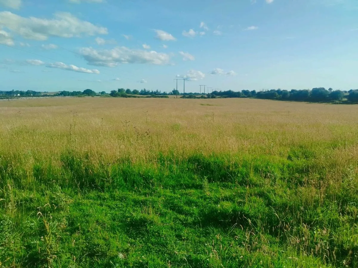 25 acres Meadow for sale - Image 1