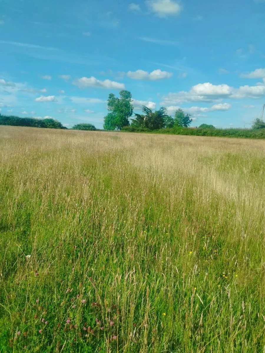 25 acres Meadow for sale - Image 3