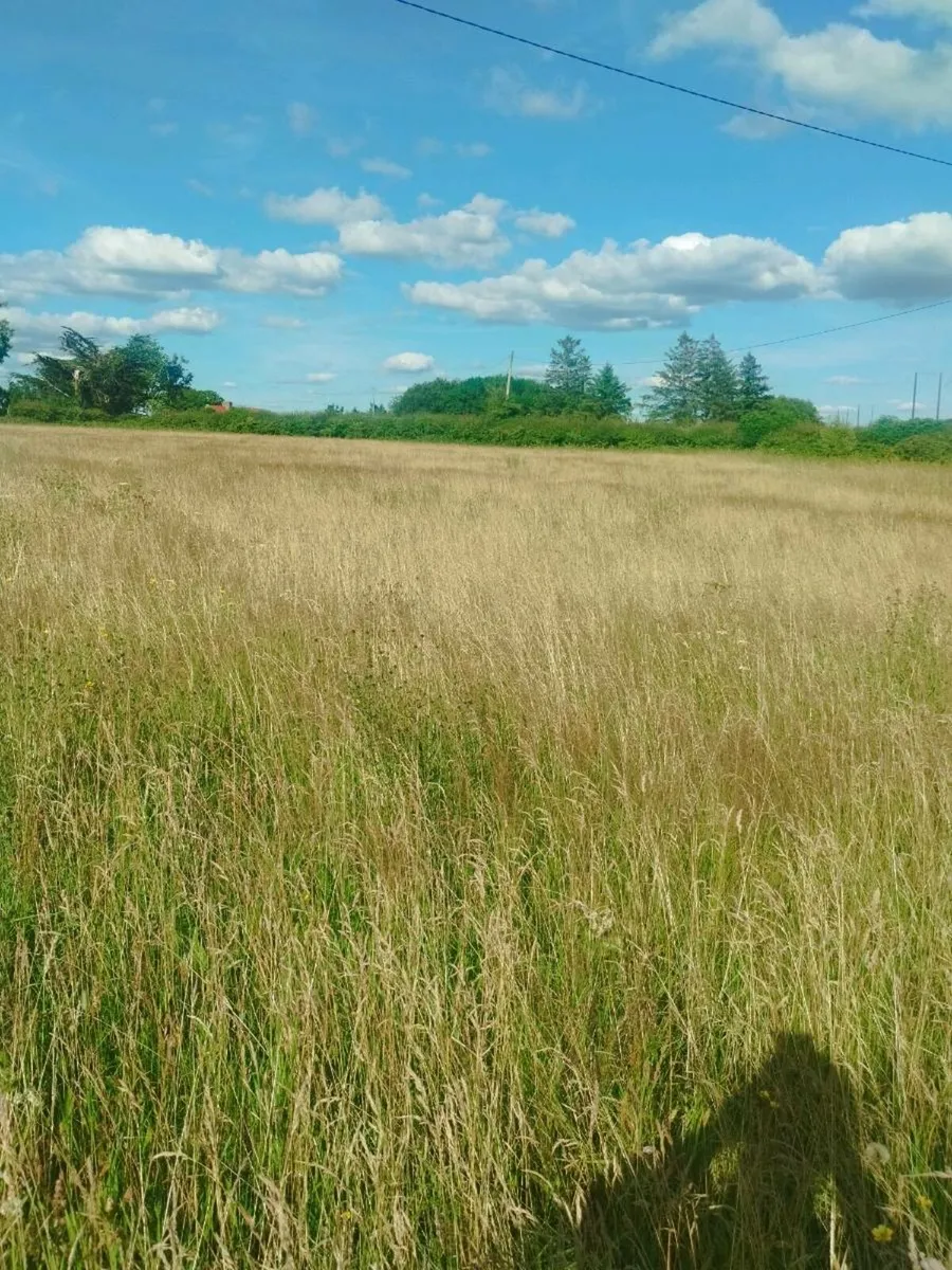25 acres Meadow for sale - Image 4