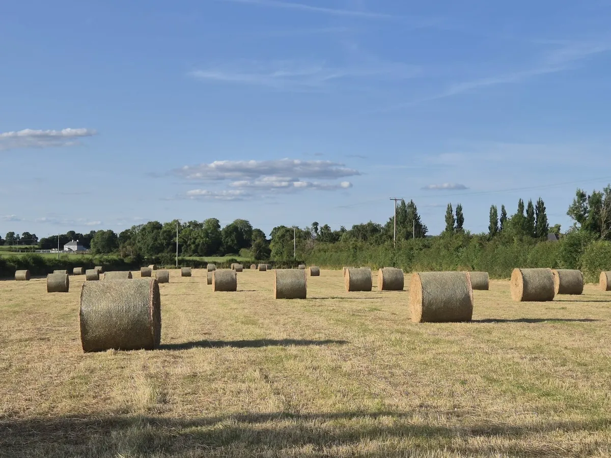 Hay 4x4 - Image 1