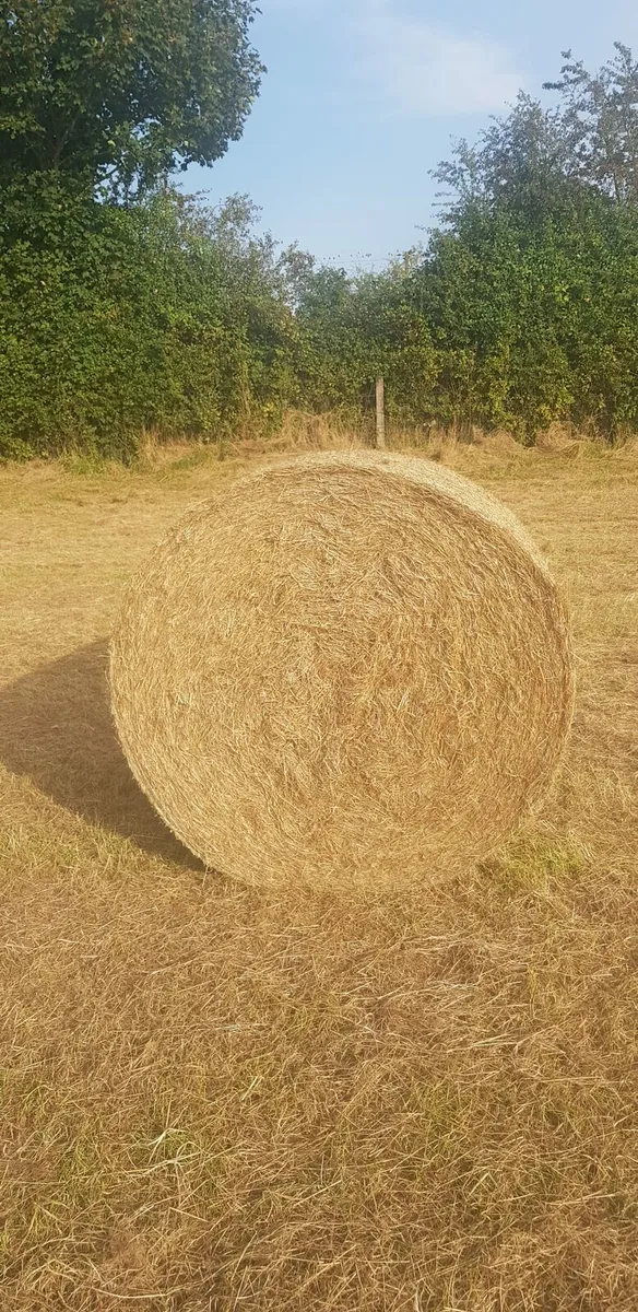 Hay 4x4 - Image 2
