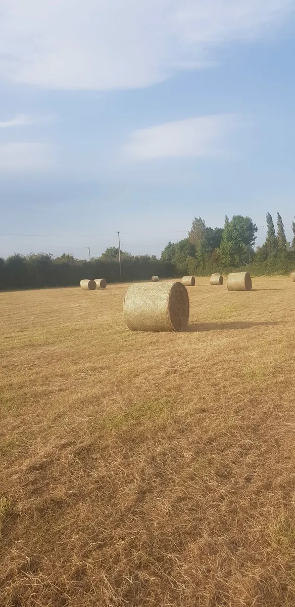 Hay 4x4 - Image 3