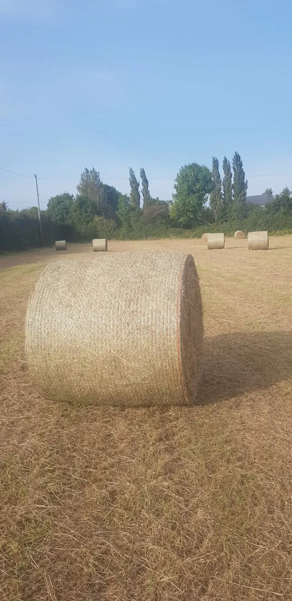 Hay 4x4 - Image 4