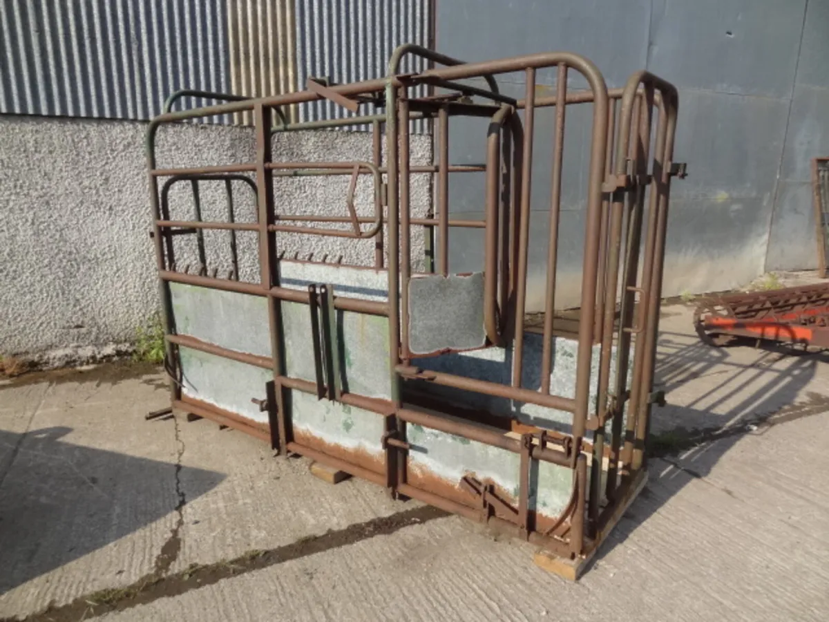 Portable Cattle Crush - Image 1