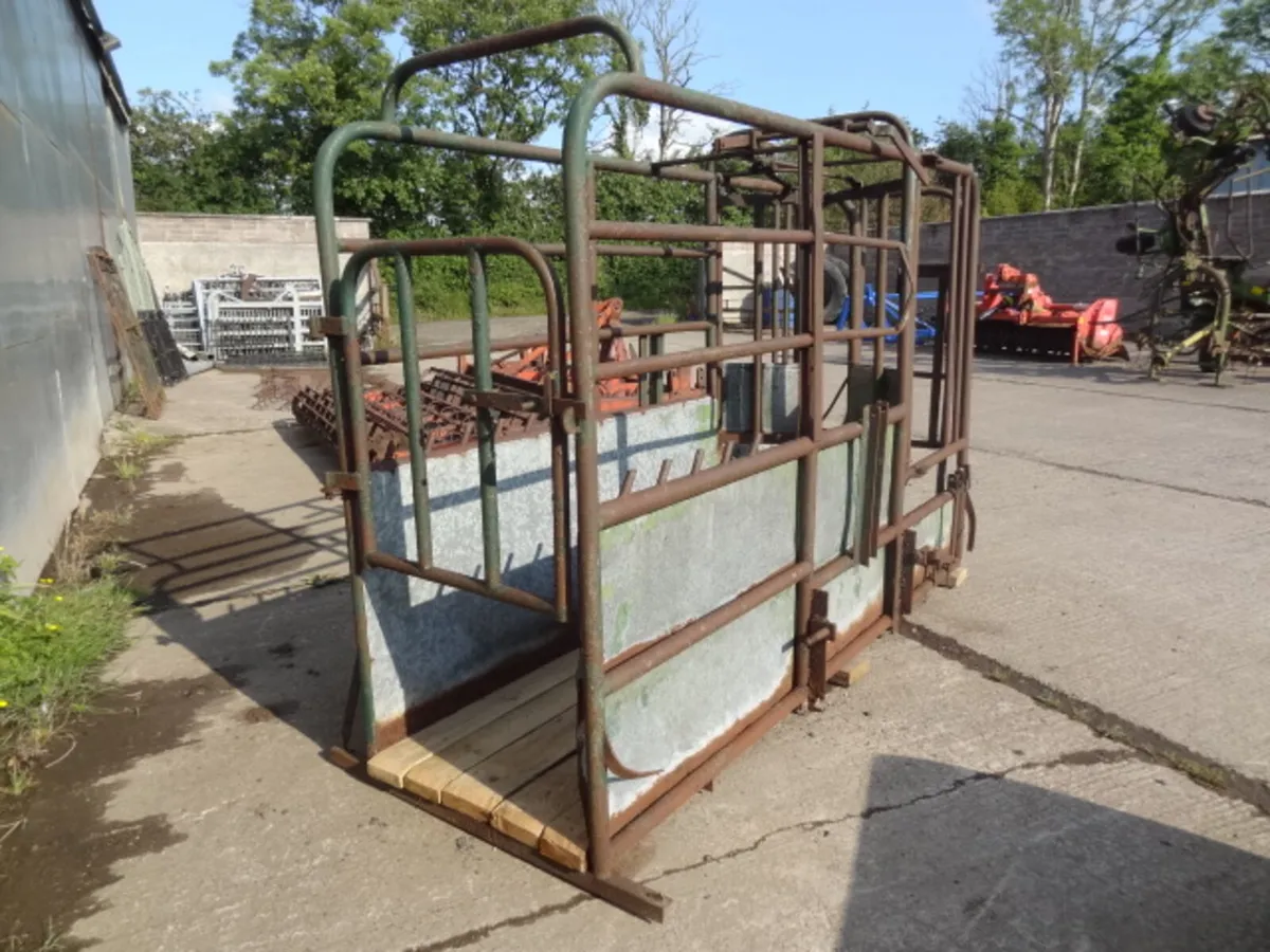 Portable Cattle Crush - Image 3