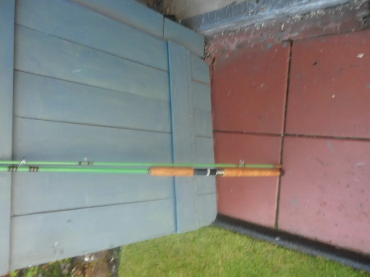 fishing rod - Image 1
