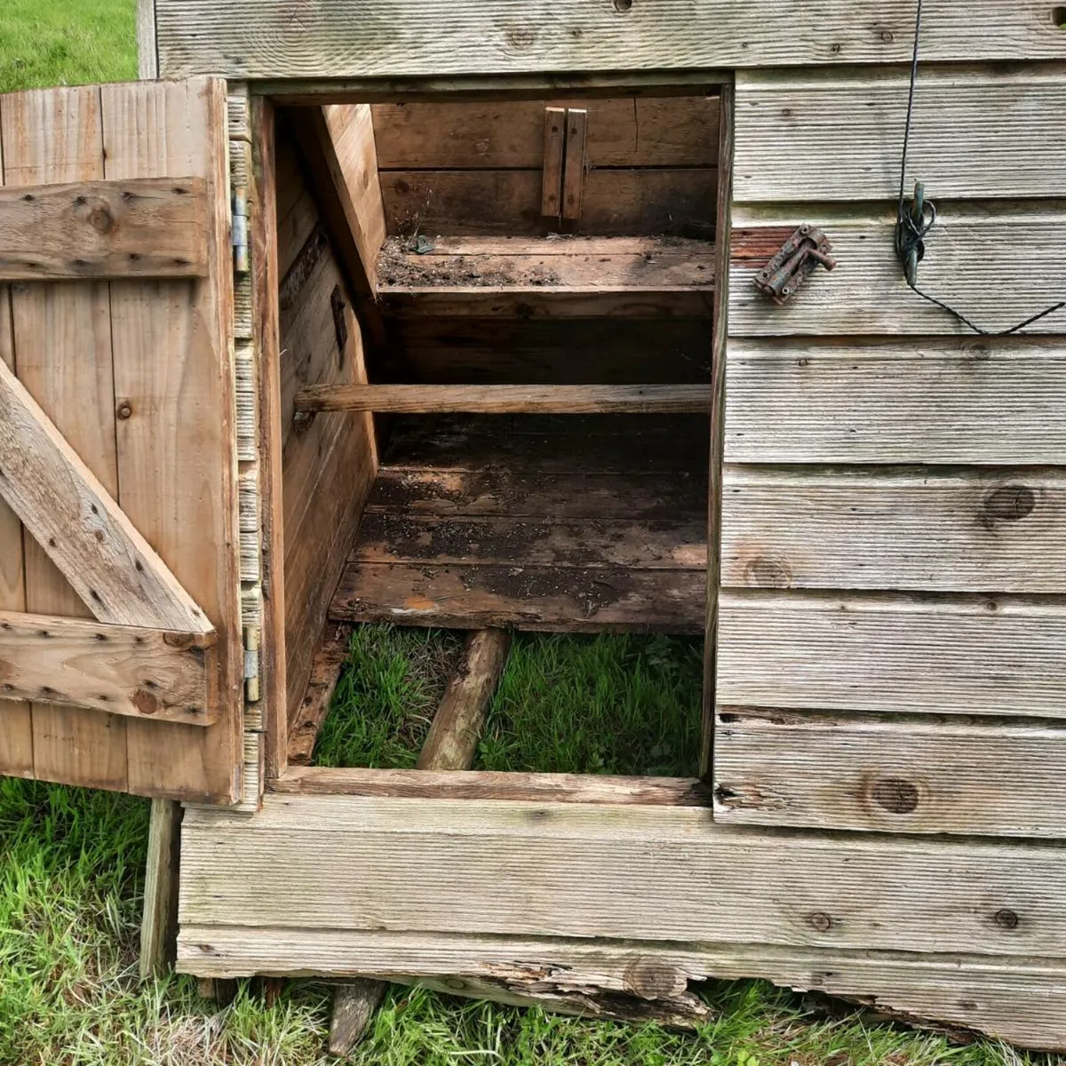 Chicken Coop - Image 2