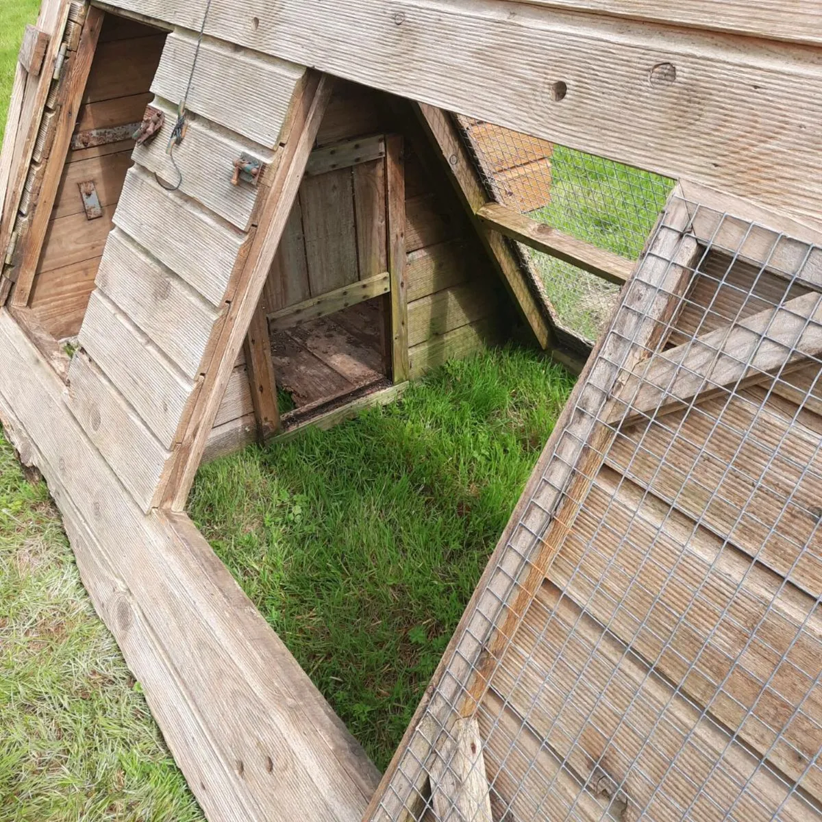 Chicken Coop - Image 3