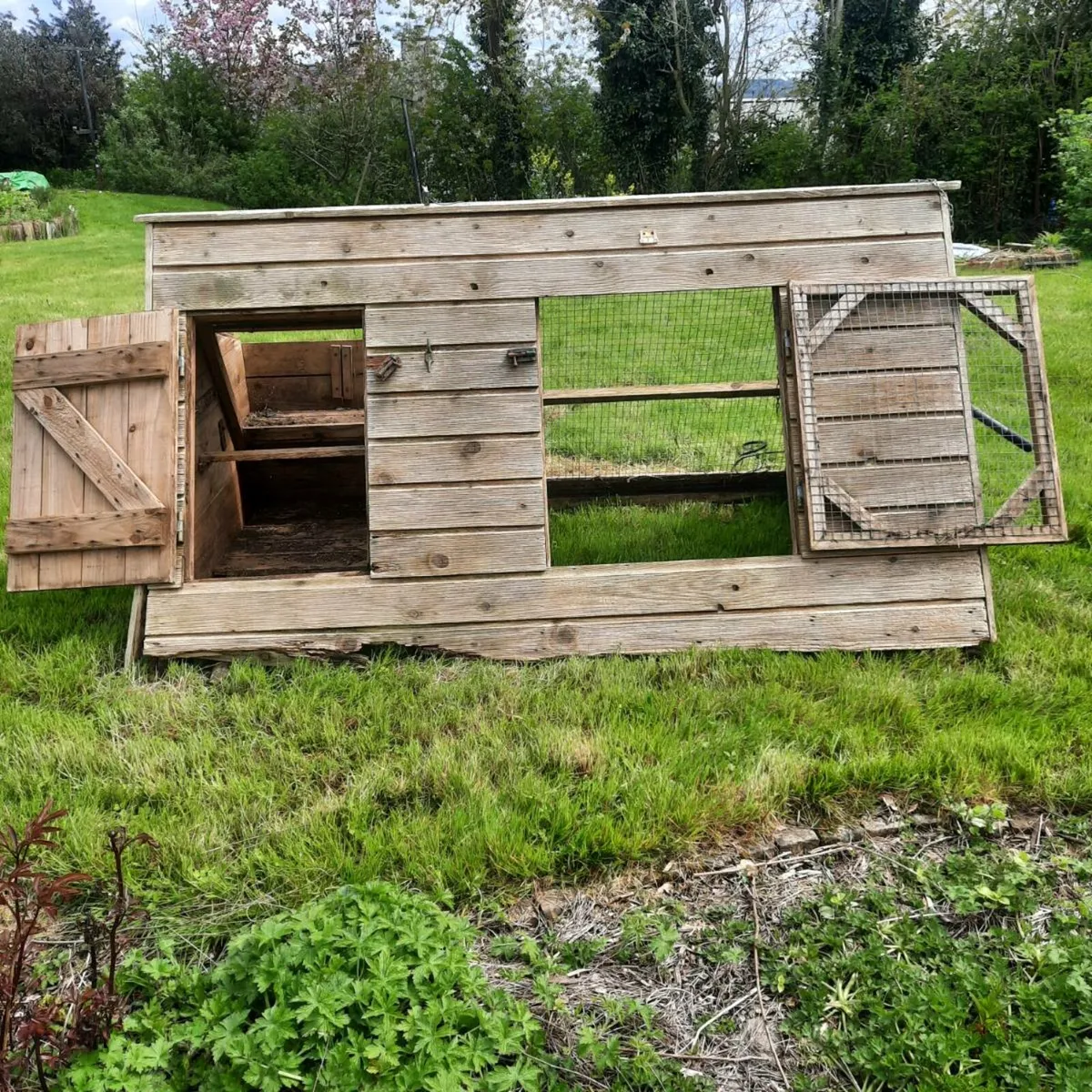 Chicken Coop - Image 4
