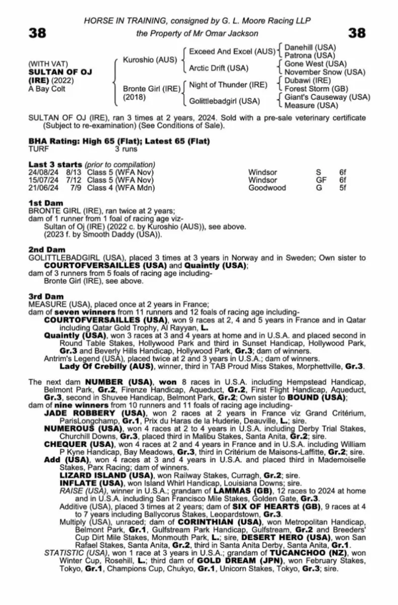 2 year old thoroughbred filly - Image 4