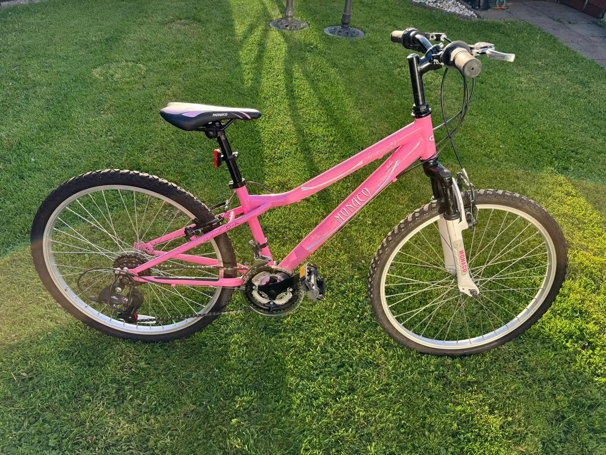 Bike - Image 1