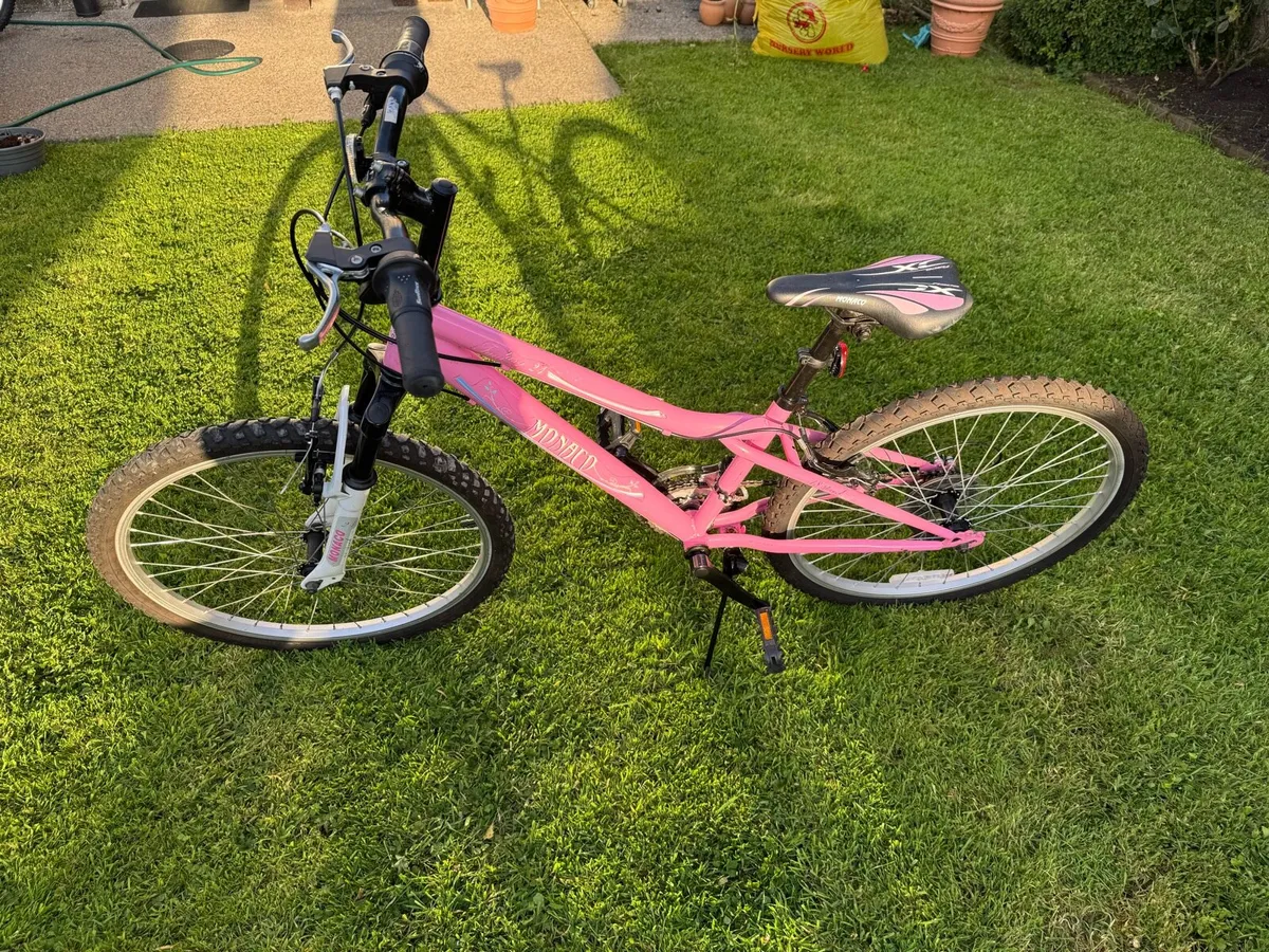 Bike - Image 2