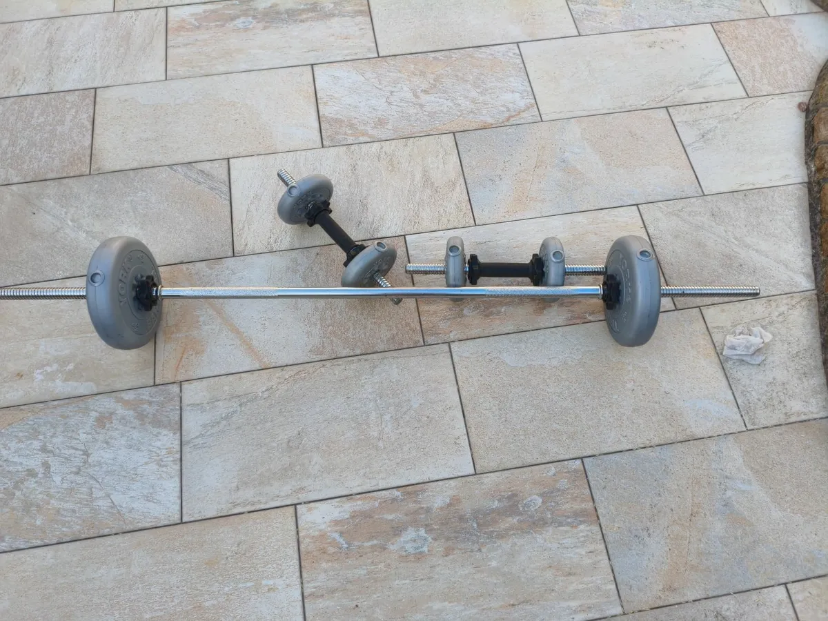Body building - Image 4