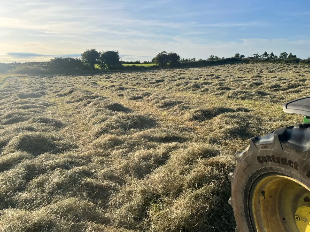 Square or Round Bales of Hay - Image 2