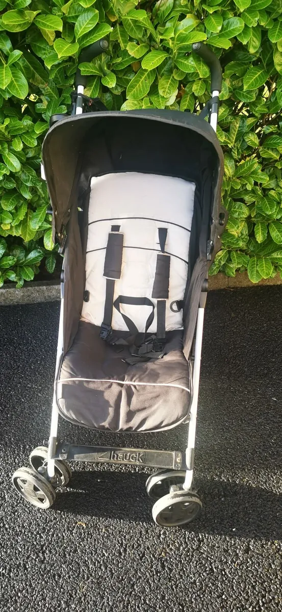 Buggy - Image 2