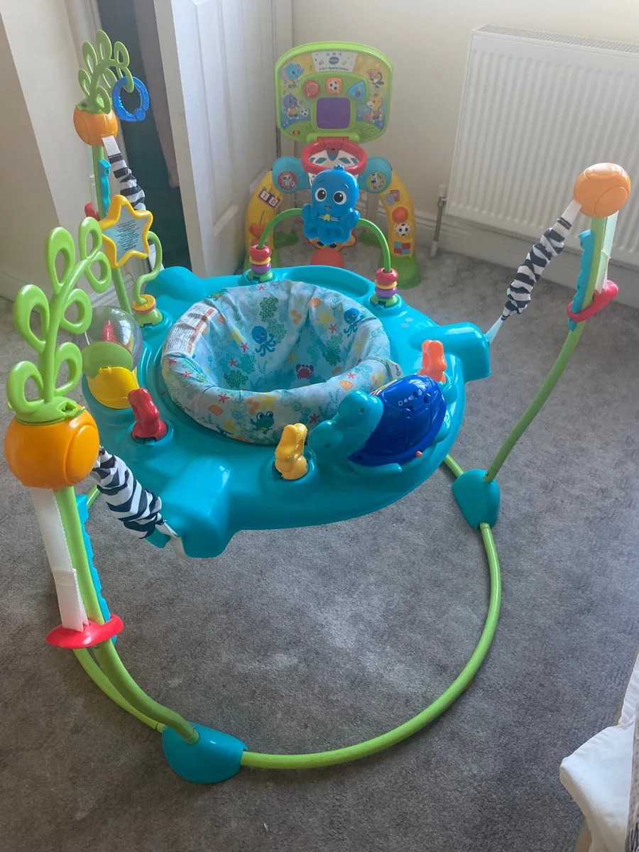 Jumperoo/Bouncer - Image 1