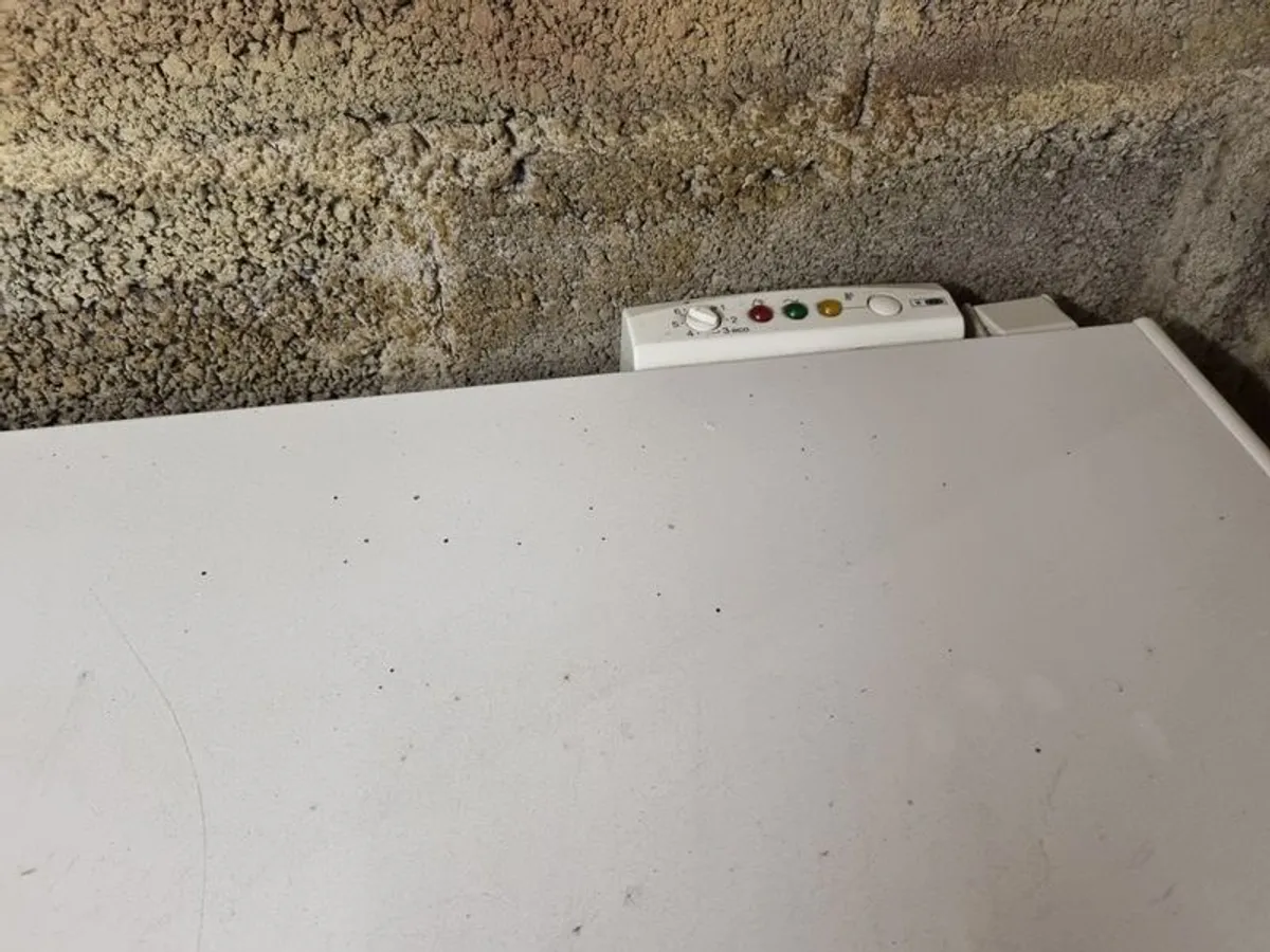 Chest Freezer - Image 1