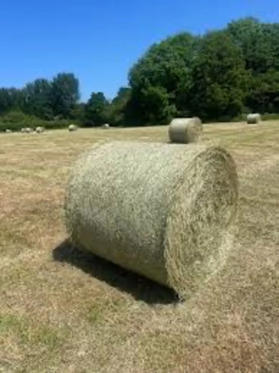 Round bales of hay for sale Ardee area