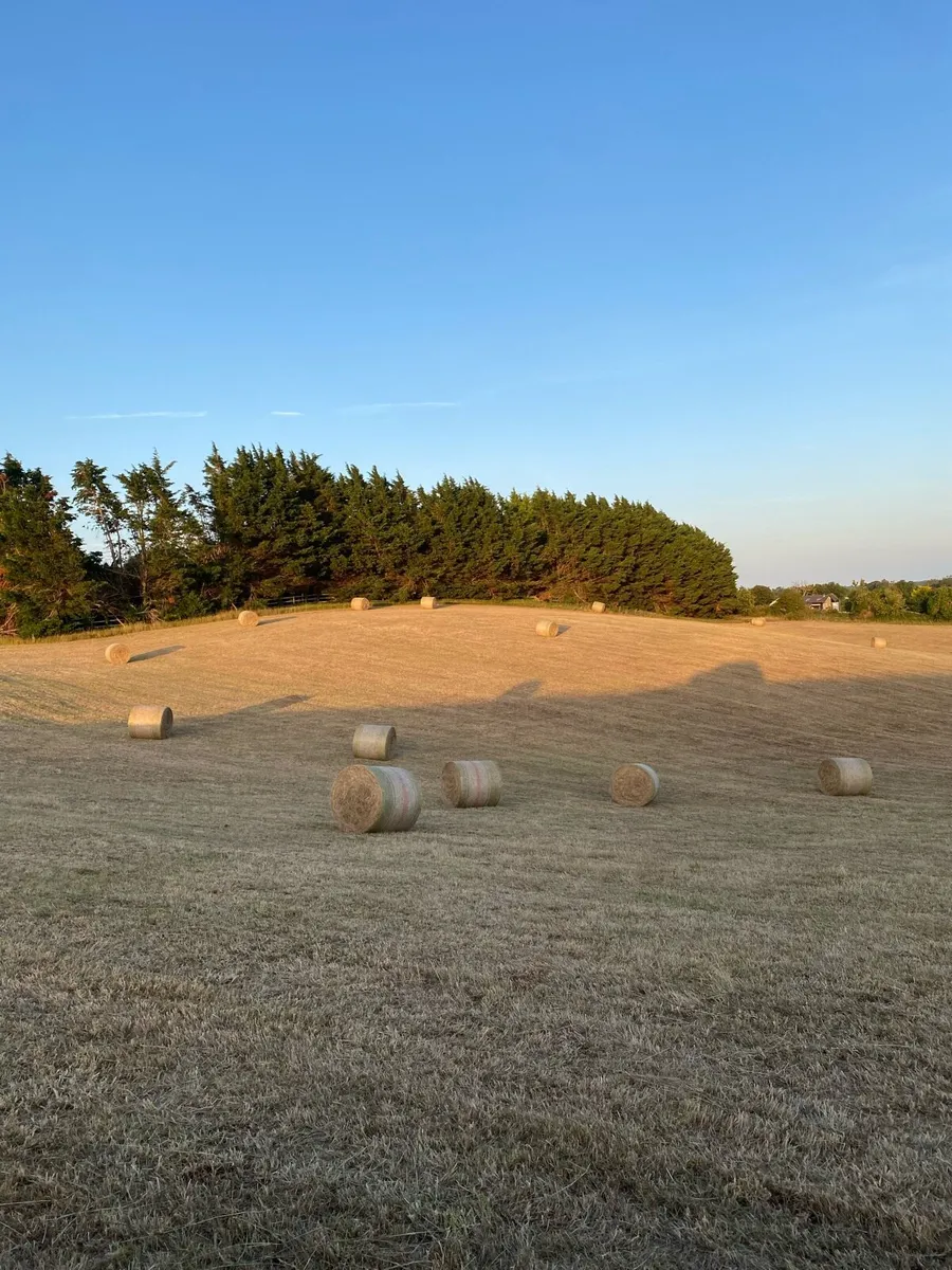 4x4 Rounds of Hay - Image 1