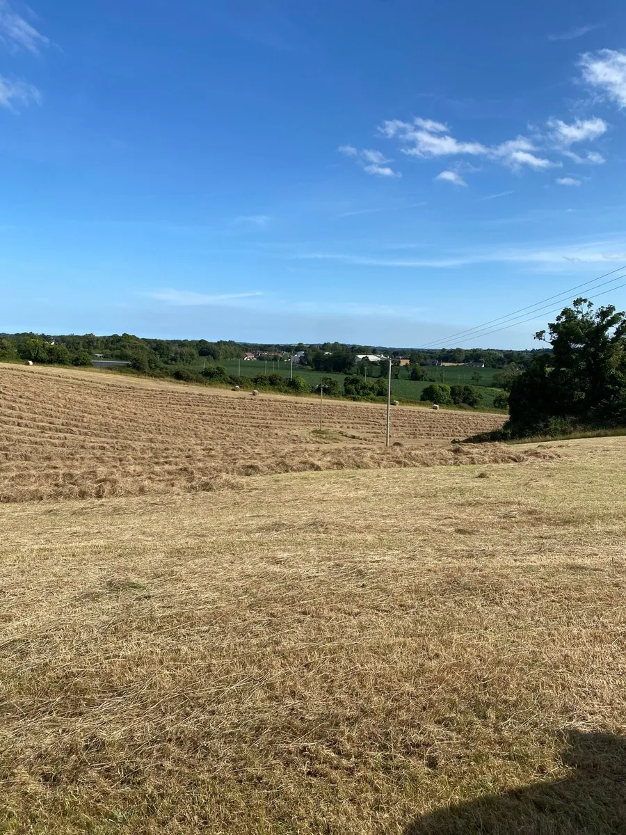 4x4 Rounds of Hay - Image 2