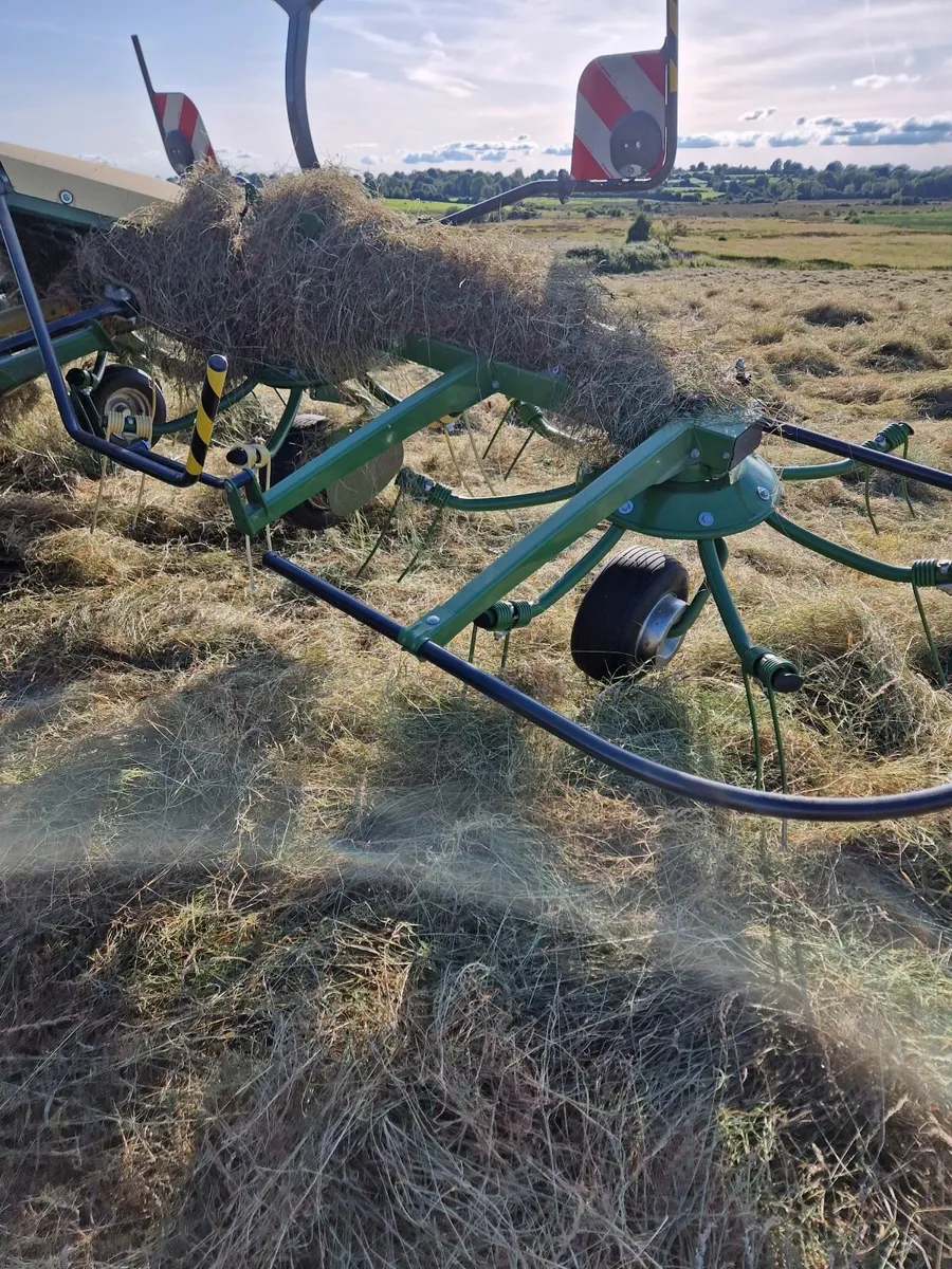 Organic hay and haylage - Image 3