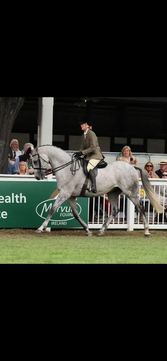 13 yo 16.2 Not to be missed - Image 3