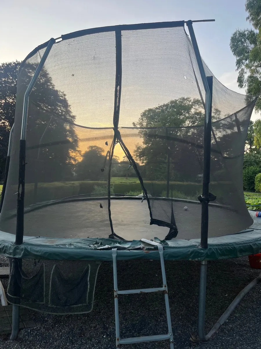 Trampoline - Image 4