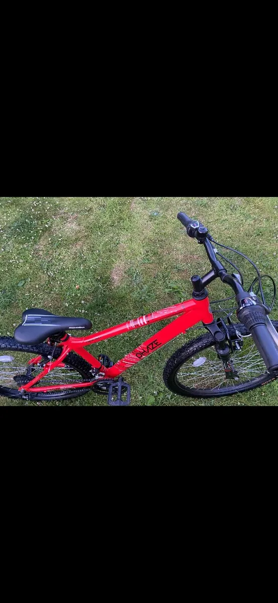 Bike - Image 1