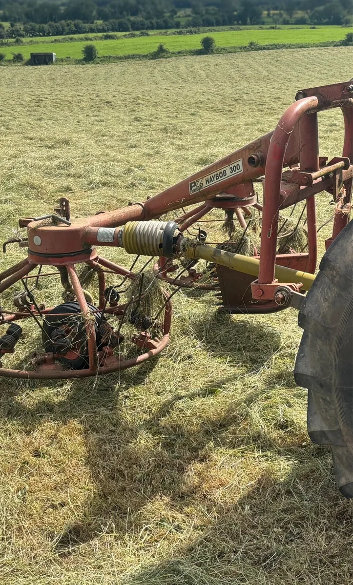 PZ 300 Haybob - Image 1