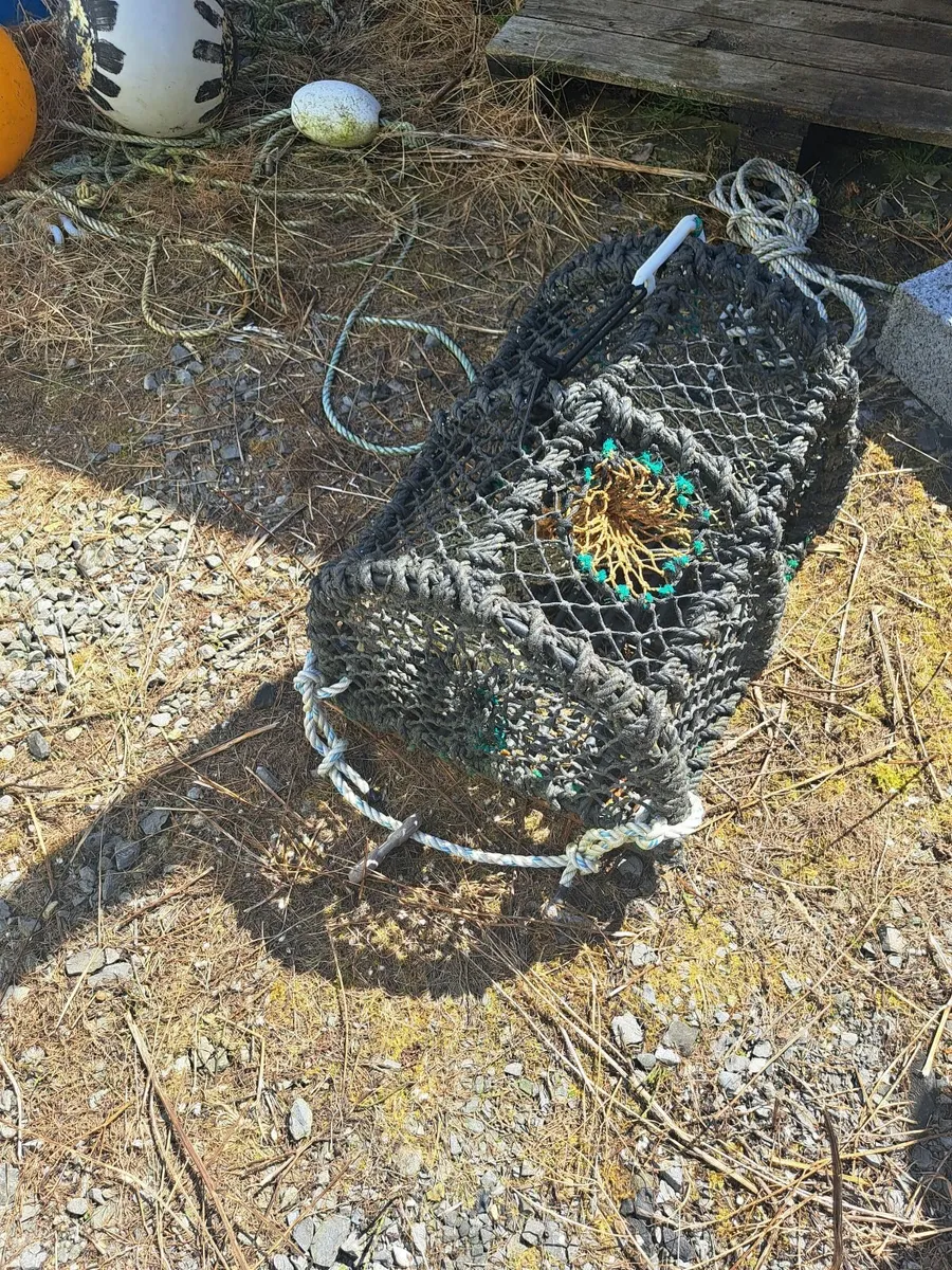 Lobster pots - Image 3