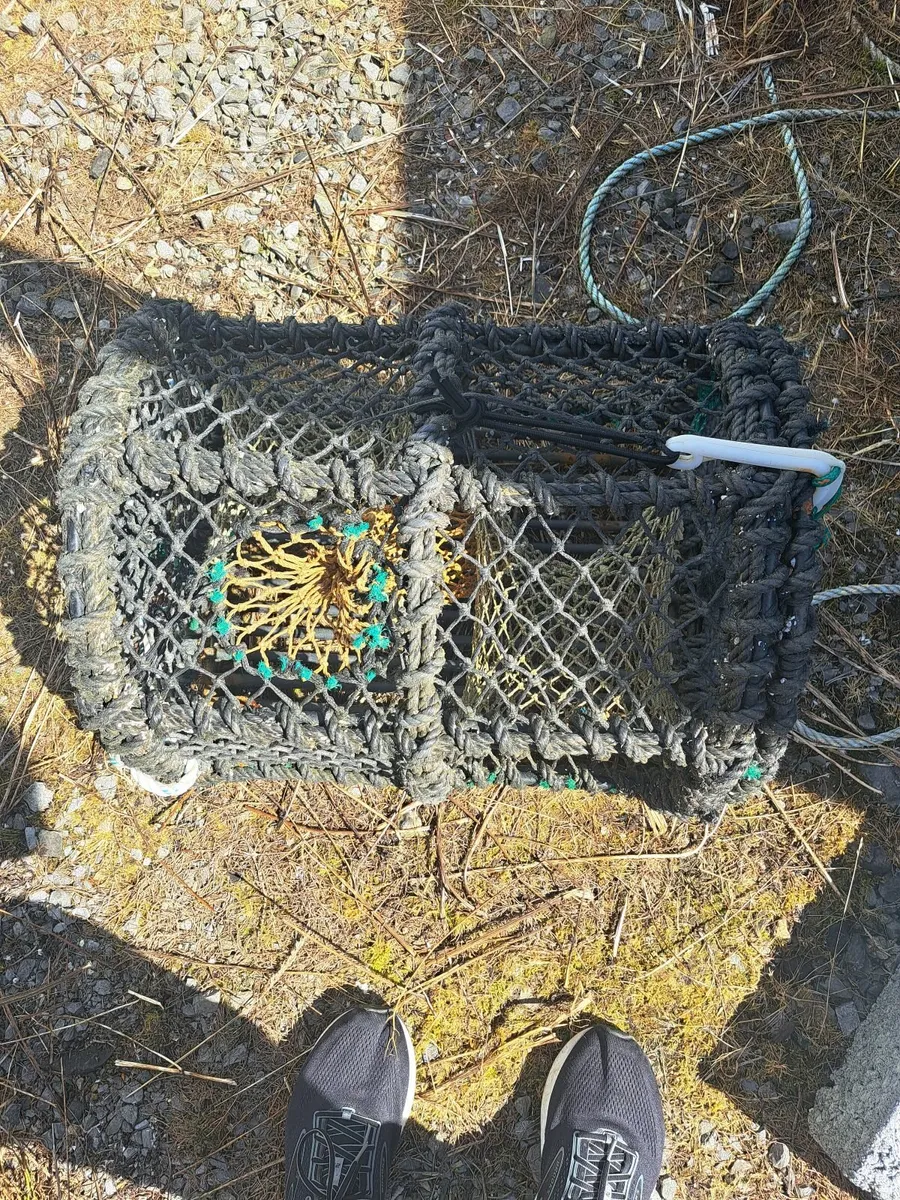 Lobster pots - Image 4
