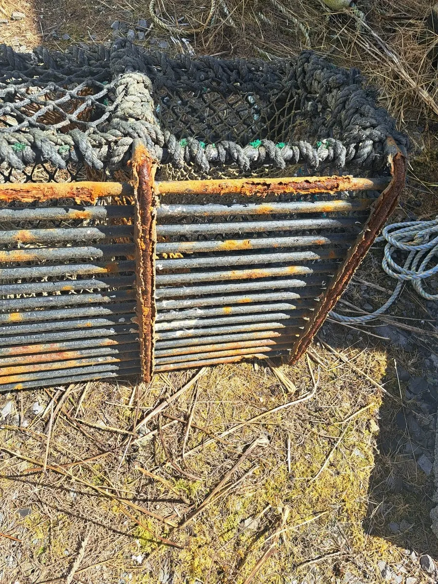 Lobster pots - Image 4