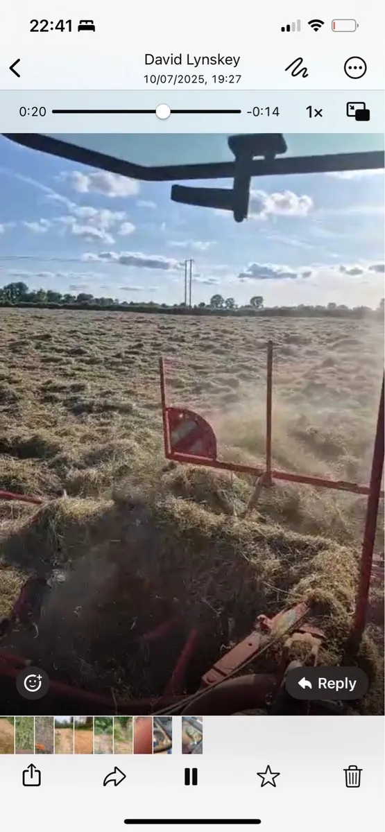 Hay For Sale - Image 1