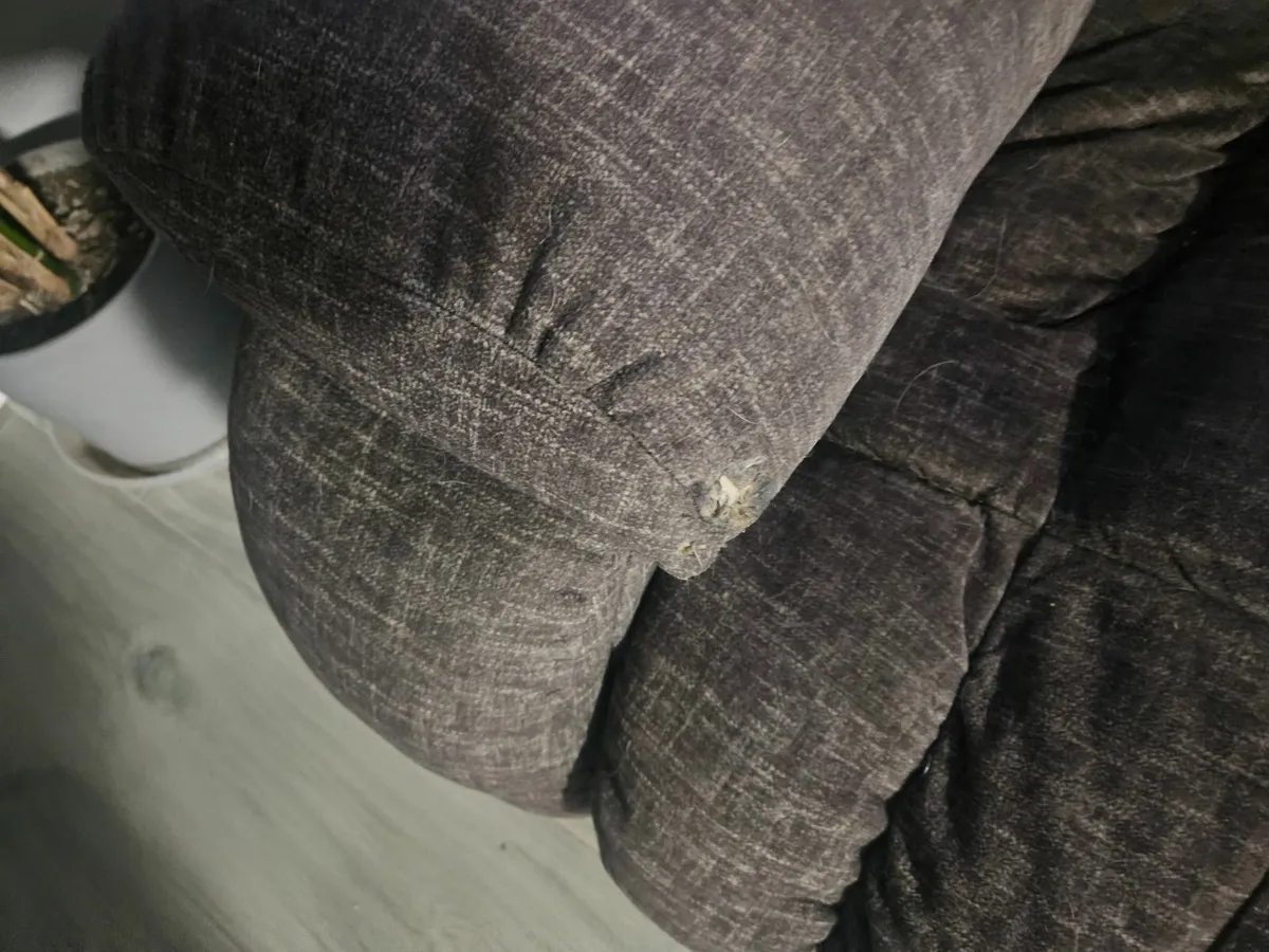 2 seater reclining couch - Image 2