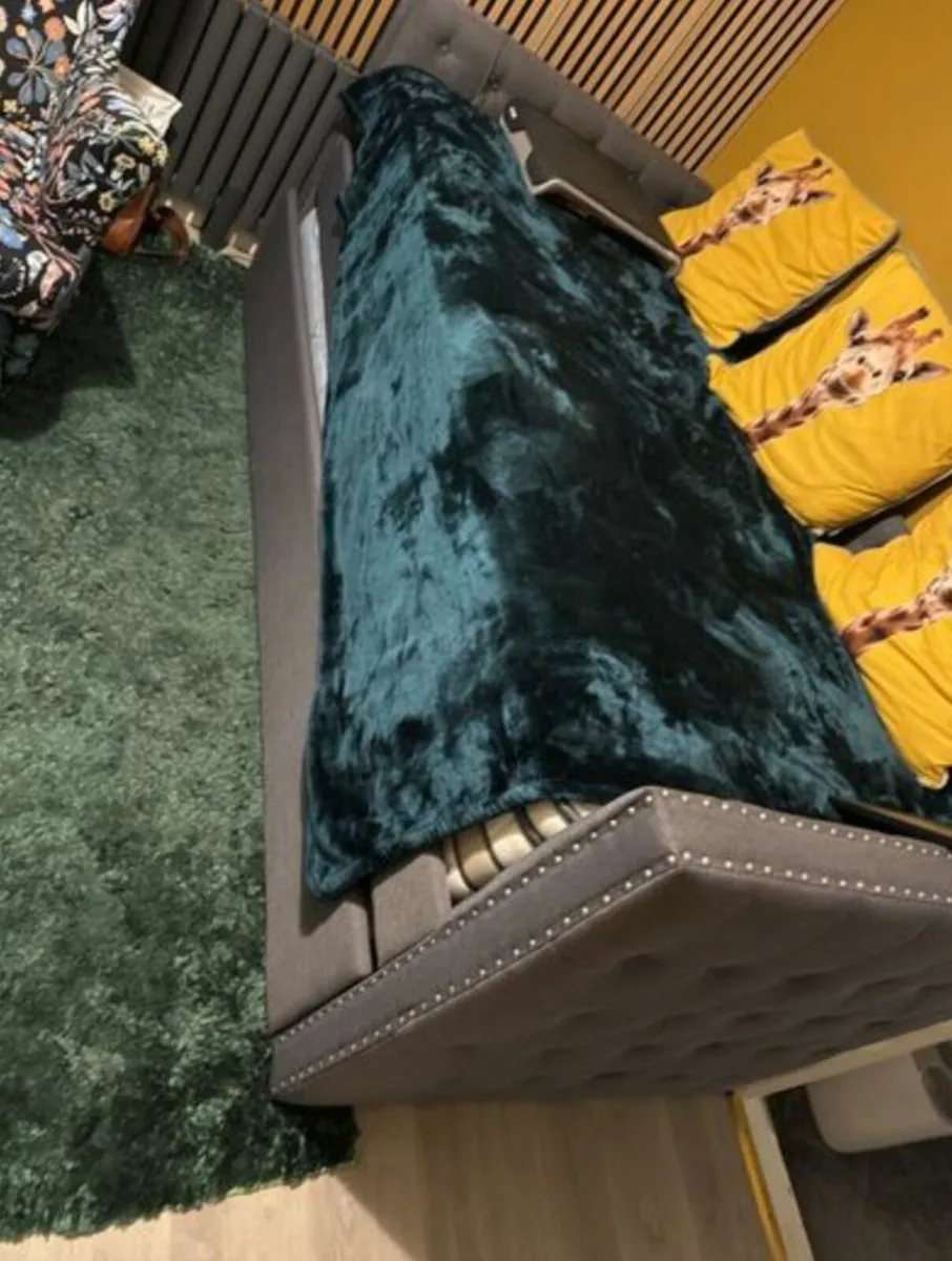 Sofa Cum Bed - Image 1