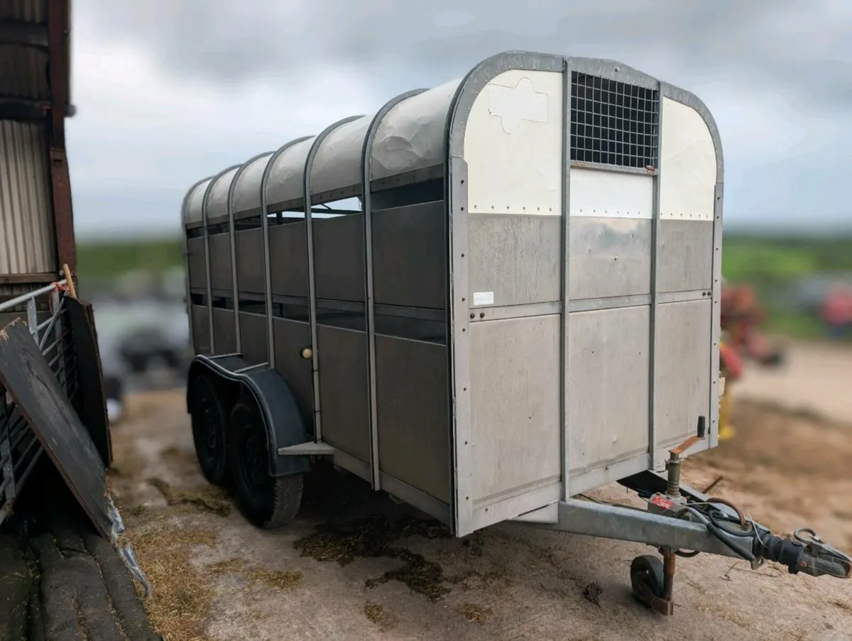 Nugent Cattle Trailer 12ft x 6ft - Image 1