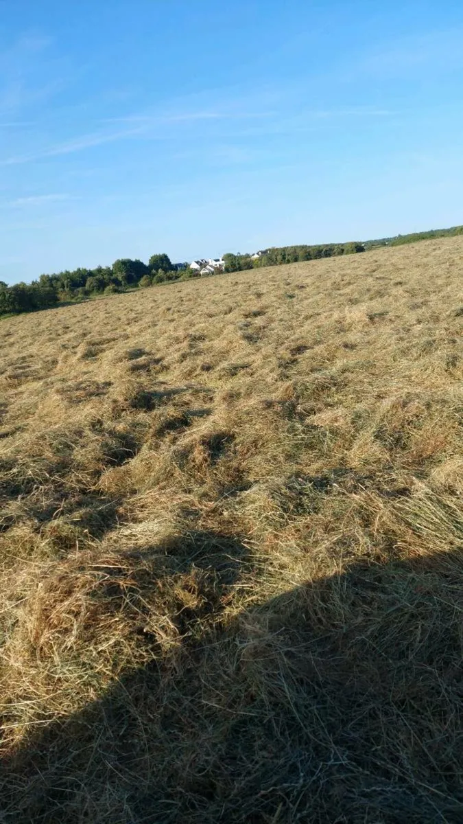 Hay being baled friday/ saturday - Image 1