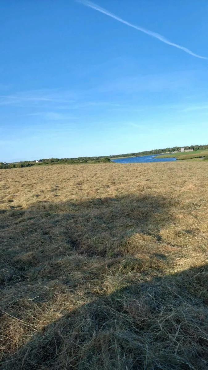 Hay being baled friday/ saturday - Image 2