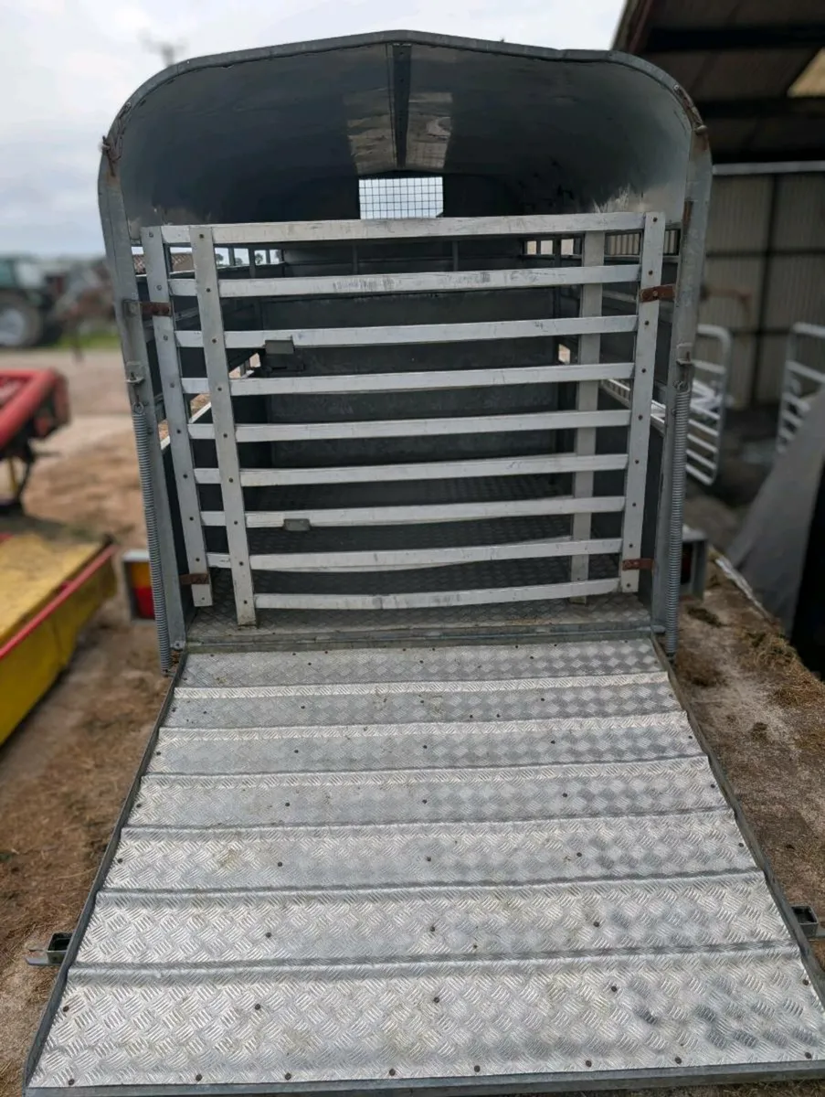 Nugent Cattle Trailer 12ft x 6ft - Image 4