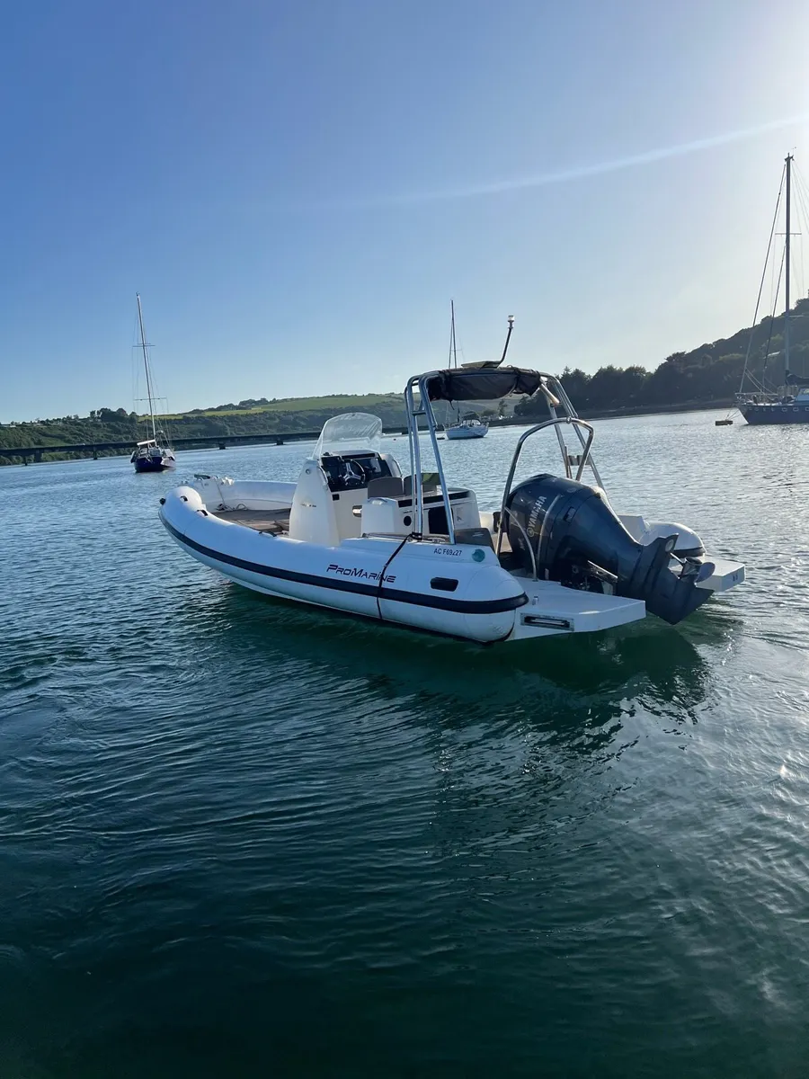 Promarine 7.5m RIB -250 hp Yamaha - Image 4