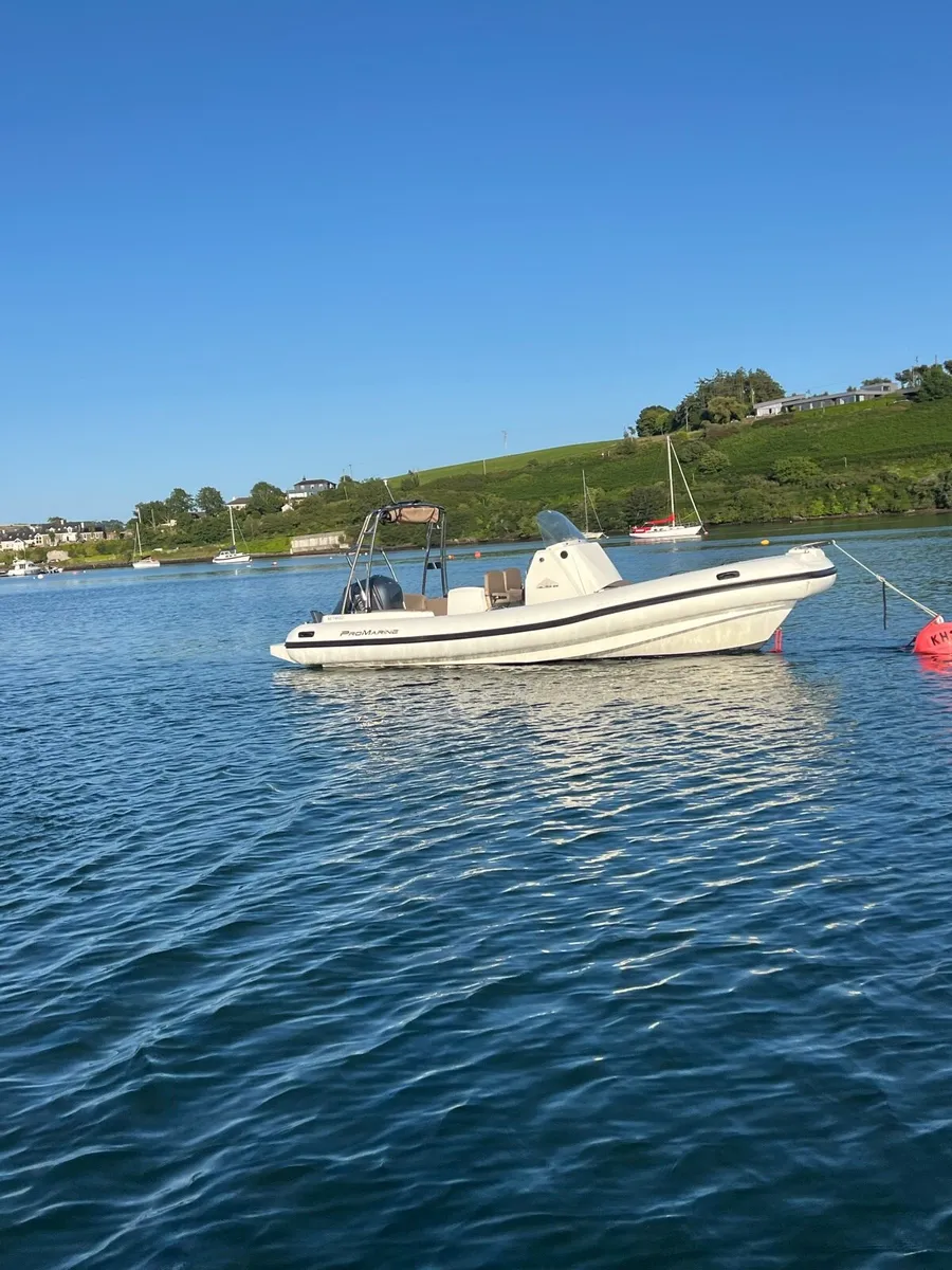 Promarine 7.5m RIB -250 hp Yamaha - Image 3