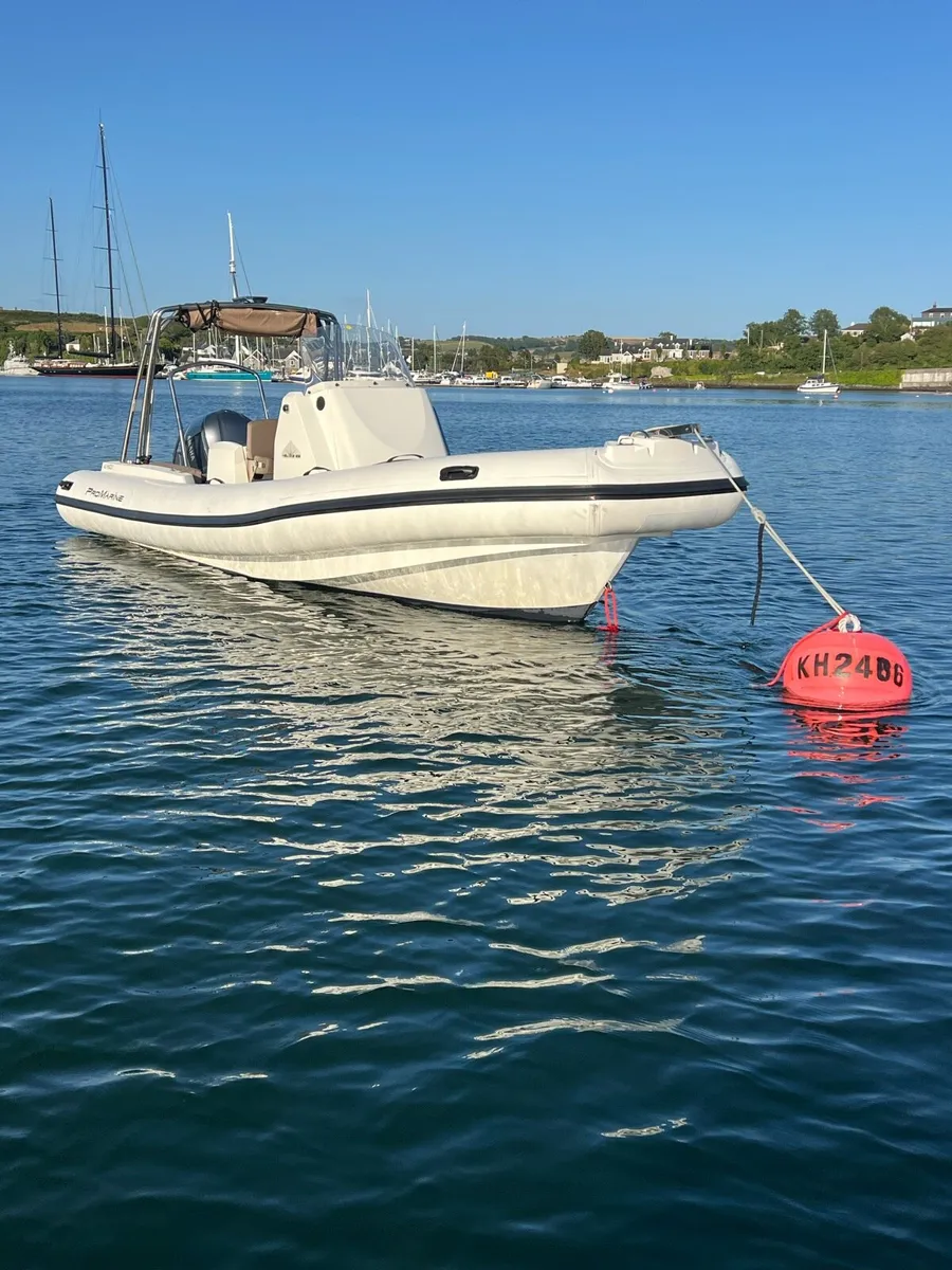 Promarine 7.5m RIB -250 hp Yamaha - Image 2