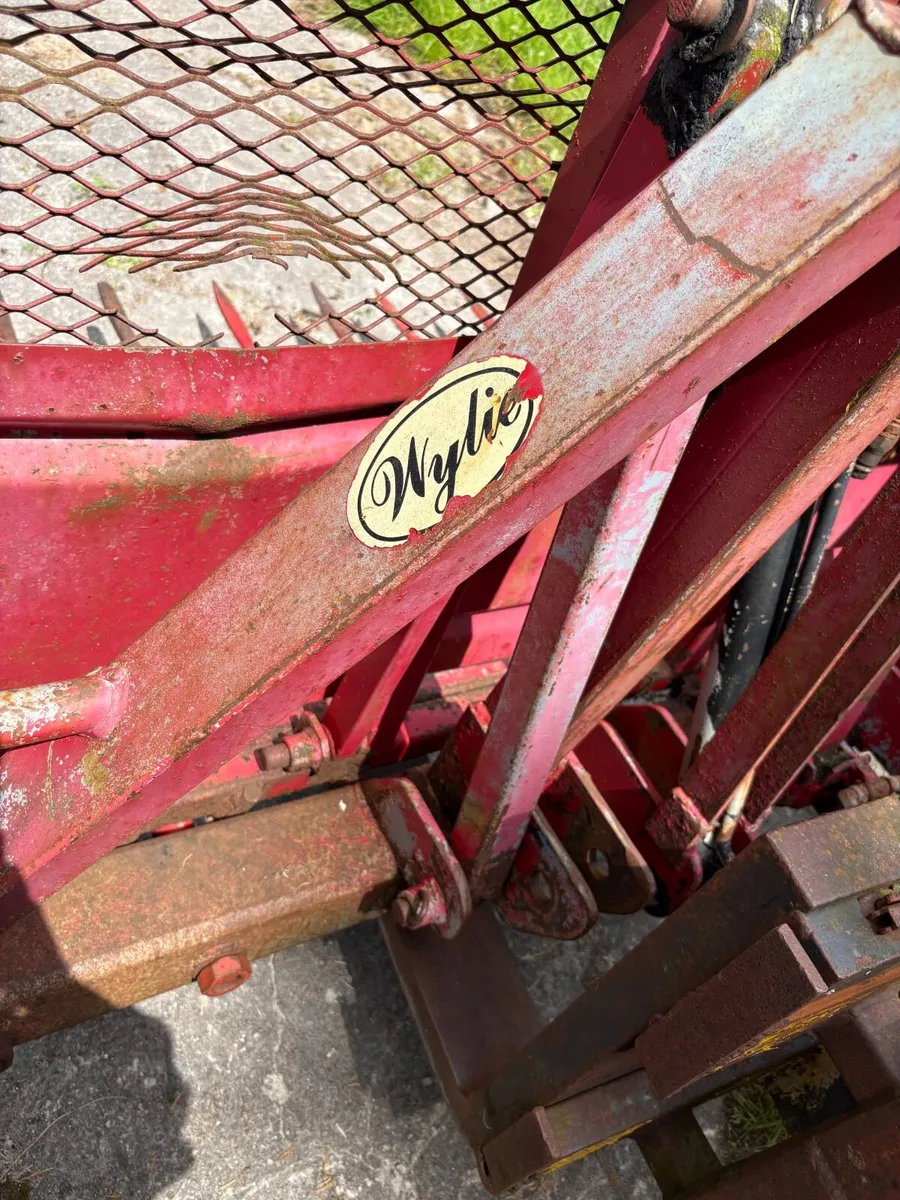 8 ft buckwreck - Image 1