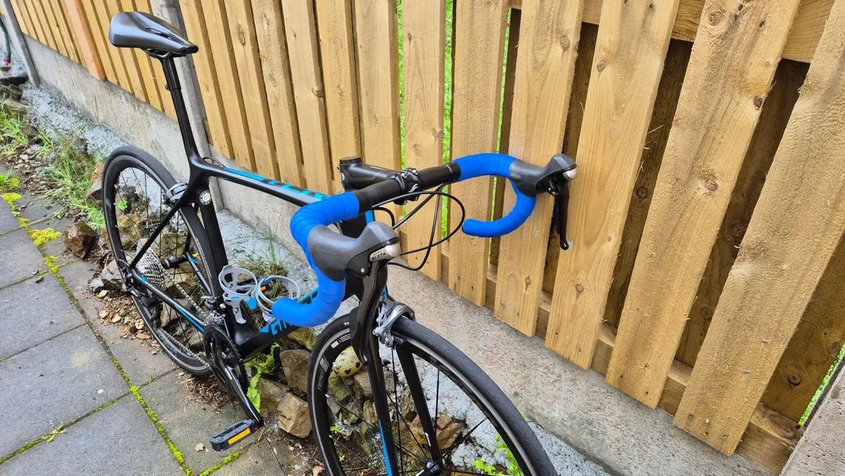 Giant TCR SL - Image 2